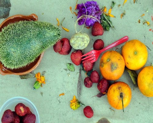 A variety of fresh traditional Mexican local vegetables and fruits arranged neatly on a warm table background including nopales, avocados, and fresh greens
