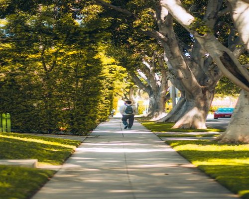 A close up view of comfortable sneakers walking gently along a quiet tree lined pathway in a residential neighborhood for a light daily walk
